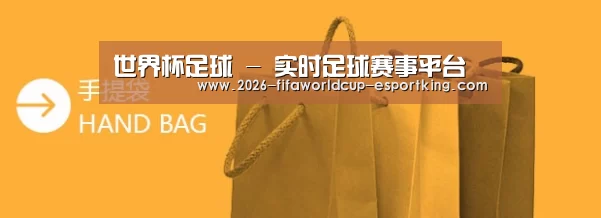 手提袋