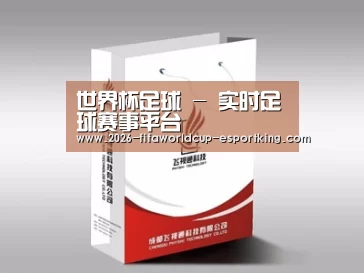 项目名称十三