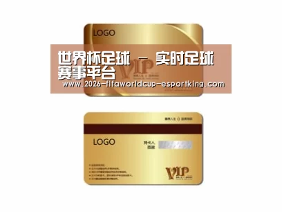 项目名称三