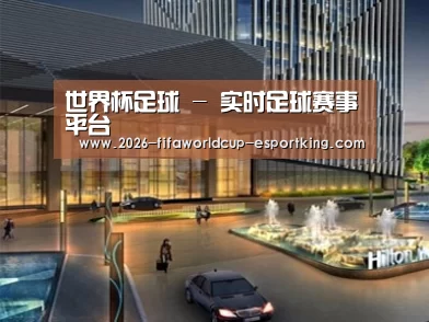 案例展示二