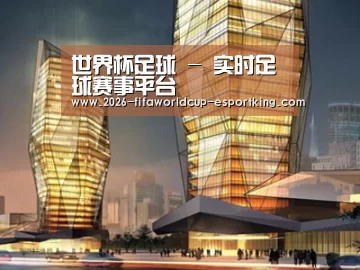 案例展示三