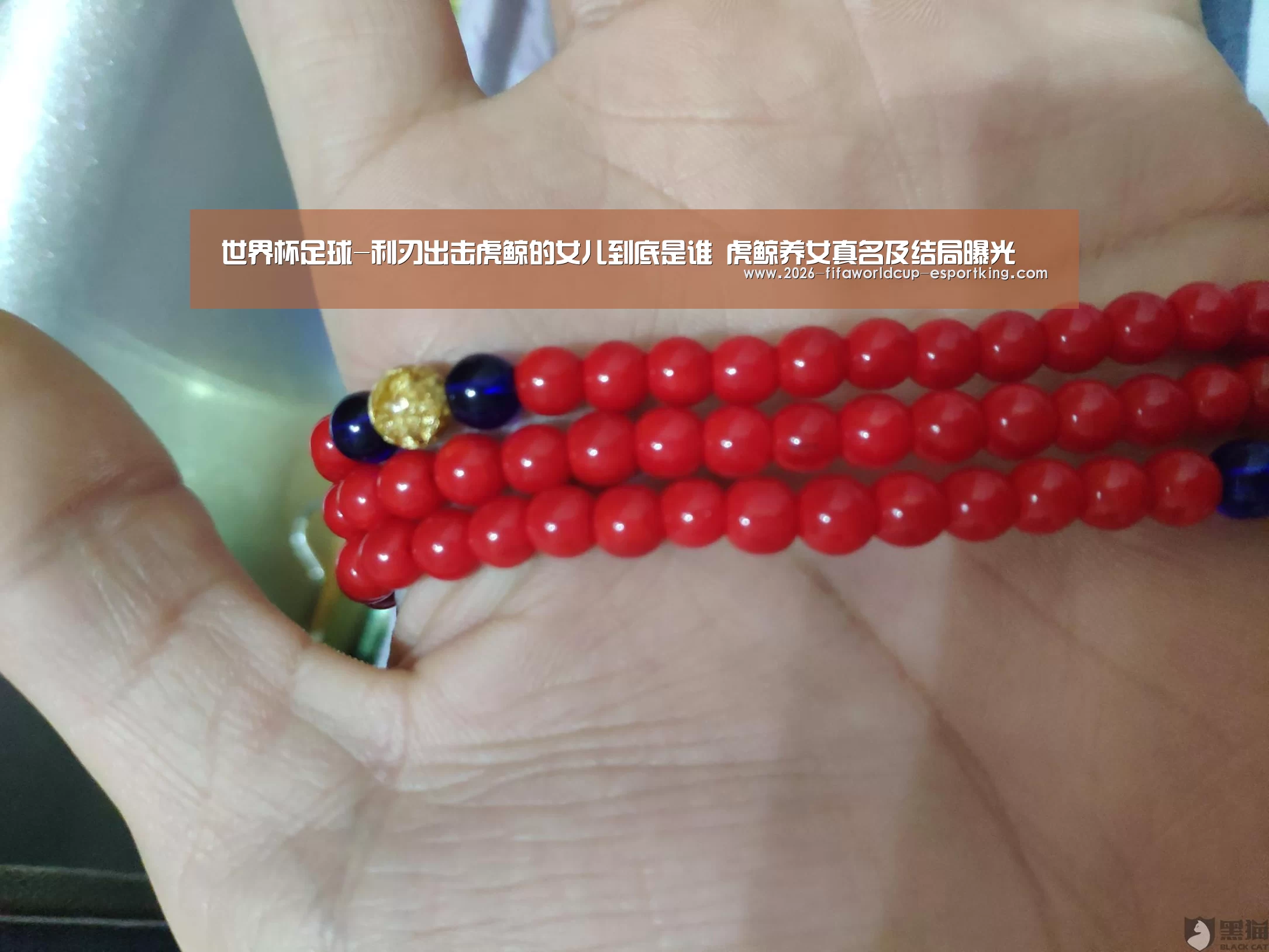 世界杯足球-利刃出击虎鲸的女儿到底是谁 虎鲸养女真名及结局曝光(图1) 世界杯足球