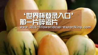 ‘世界杯登录入口’那一片碎瓷片(图3) 世界杯登录入口