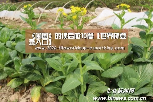 世界杯登录入口