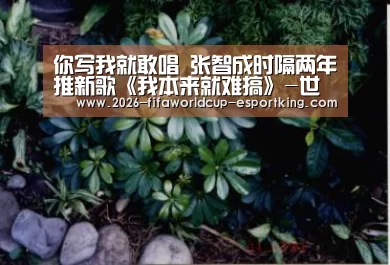 世界杯足球