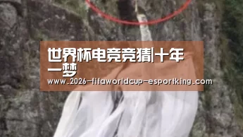 世界杯电竞竞猜|十年一梦(图1) 世界杯足球