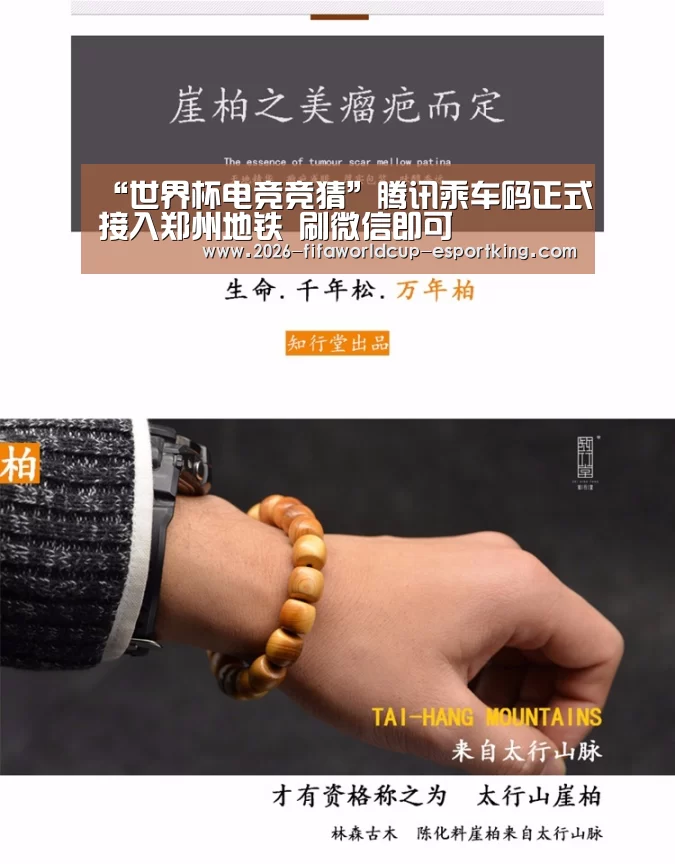 世界杯高清直播