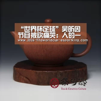 “世界杯足球”吴昕因节目被砍痛哭:人的一生,是如何越来越差的(图3) 世界杯登录入口
