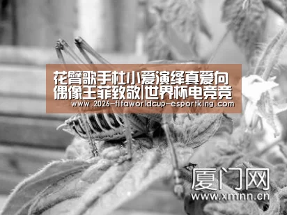 花臂歌手杜小爱演绎真爱向偶像王菲致敬|世界杯电竞竞猜(图4) 世界杯登录入口